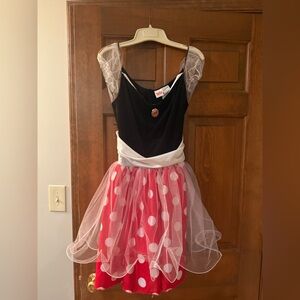 Disney Minnie Mouse Costume